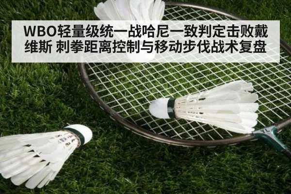 WBO轻量级统一战哈尼一致判定击败戴维斯 刺拳距离控制与移动步伐战术复盘